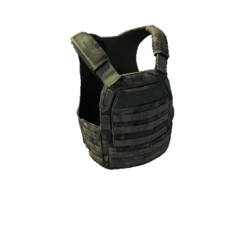 Modular_soldier_vest_01 Variant